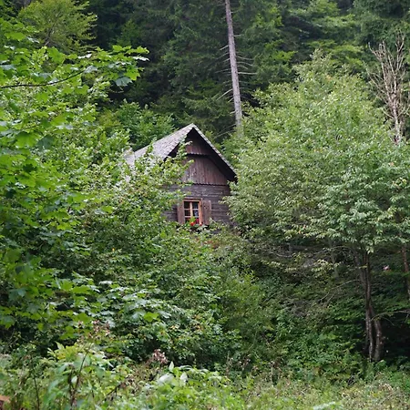 Almhuette Gross Frondell Kotschach-Mauthen