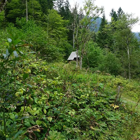 Almhuette Gross Frondell Casa vacanze Kotschach-Mauthen