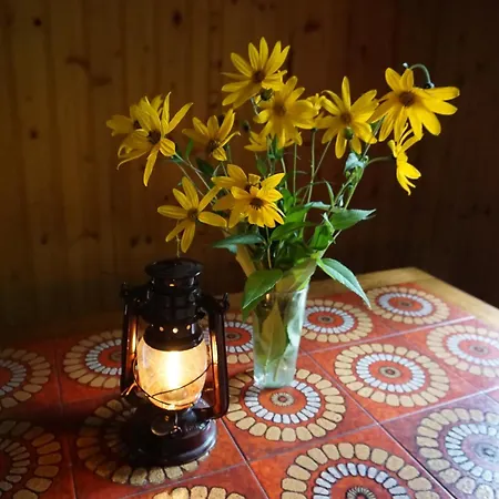 Сasa de vacaciones Almhütte Groß Frondell *