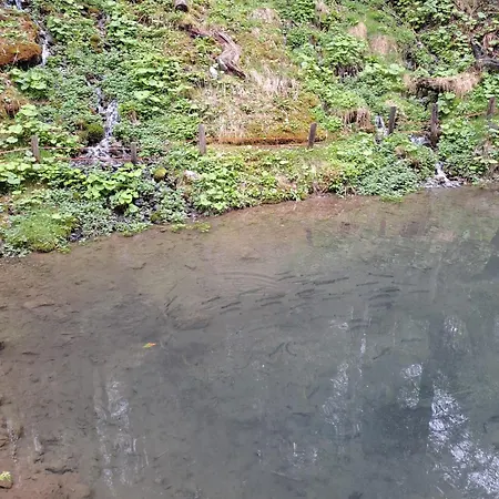 Almhuette Gross Frondell Casa vacanze